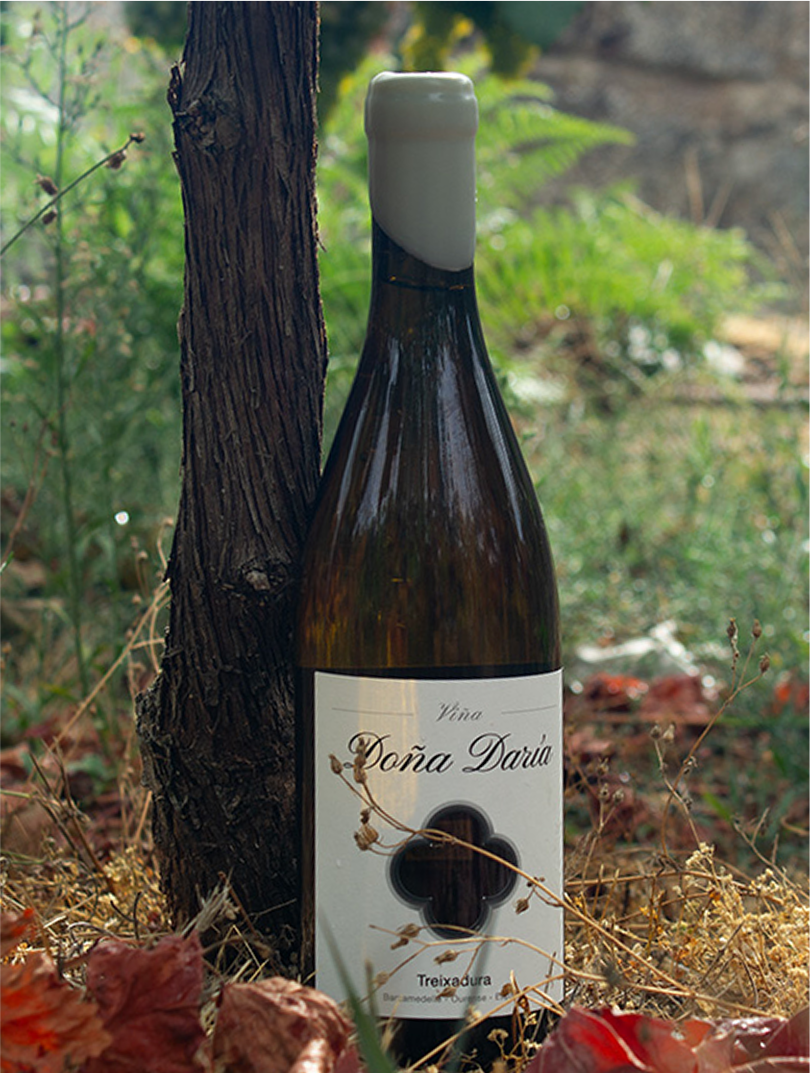 Botella Doña Daría